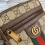 Gucci Ophidia Mini Bag