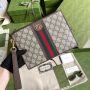 Gucci Ophidia Pouch