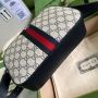 Gucci Ophidia Small Bag 