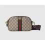 Gucci Ophidia GG Small Bag 