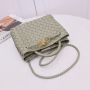 Bottega Veneta Small Andiamo Top Handle Bag 