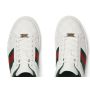 Gucci Ace Sneaker, Size 35-46