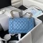 Medium Chanel Classic Handbag  