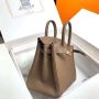 Hermes Birkin 25 in Swift Leather 