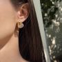 Bottega Veneta Fashion Earrings