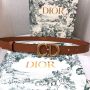 Christian Dior Saddle Belt 20mm