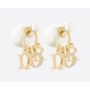 Christian Dior Earrings