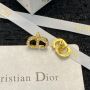 Christian Dior Earrings