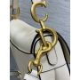 Dior Saddle Bag with strap 