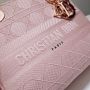 Christian Dior Medium D-Lite Bag 