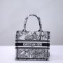 Small Dior Book Tote 