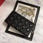 Lady Dior Pouch