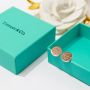 Tiffany & Co earrings