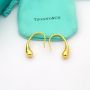 Tiffany & Co earrings