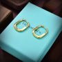 Tiffany & Co earrings