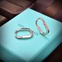 Tiffany & Co earrings