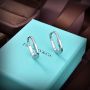 Tiffany & Co earrings